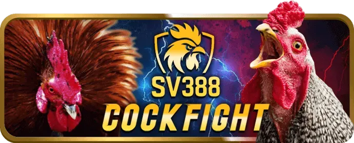 Lợi ích khi chơi đá gà bty523 Nổ Hũ